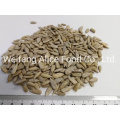 Vacuum Packaging Food Ingredients Bakery Grade Sunflower Kernels